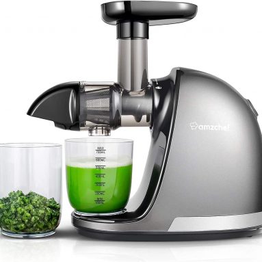 AMZCHEF Slow Juicer Testbericht