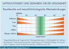 Luftfeuchtigkeit und Schimmel in Altbauwohnungen