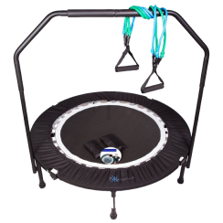 MaXimus Pro Falt Rebounder Testbericht